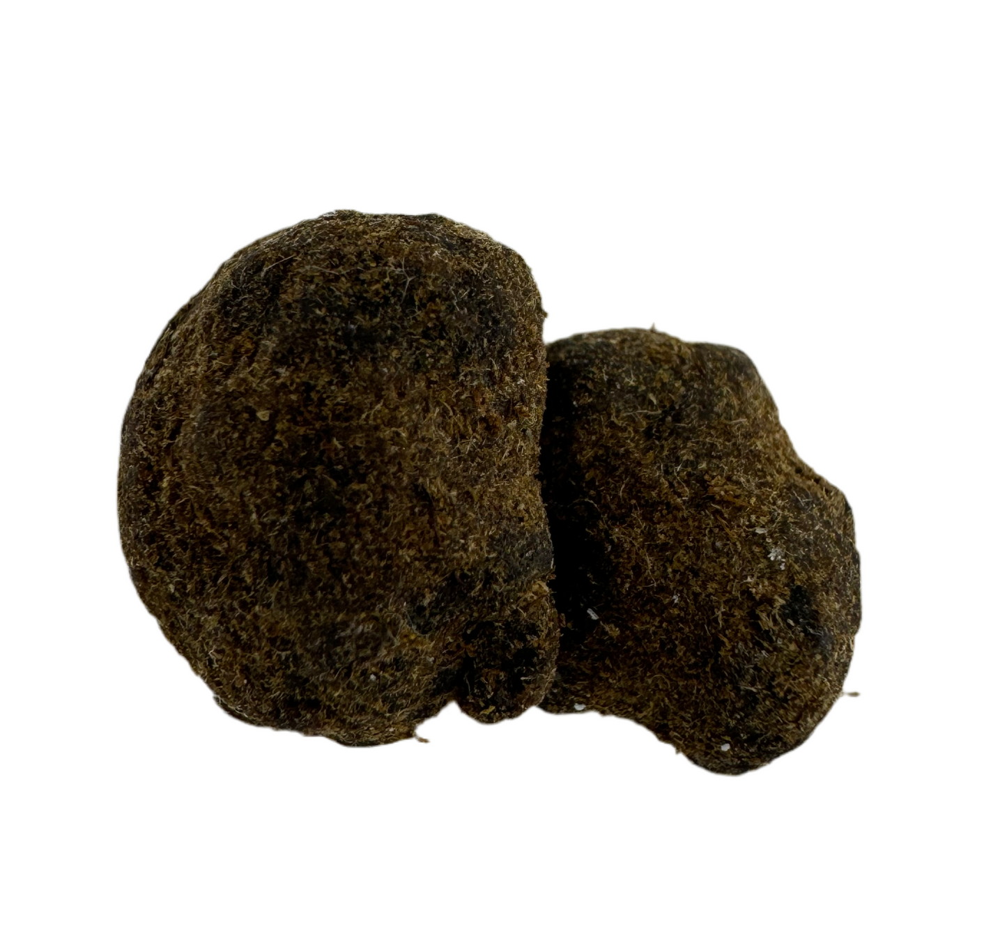 Moon rocks